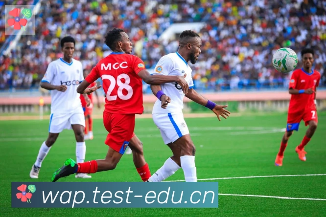 爱游戏体育官方网站平台生态图