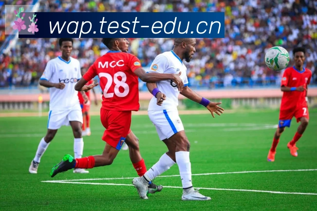 爱游戏体育官方网站品牌故事