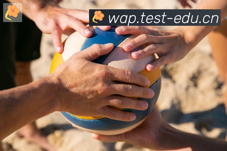 爱游戏体育官方网站APP 高清赛事图