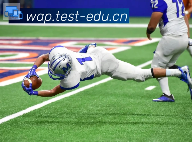 爱游戏体育官方网站荣誉