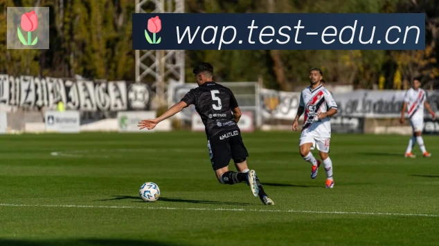 爱游戏体育官方网站荣誉