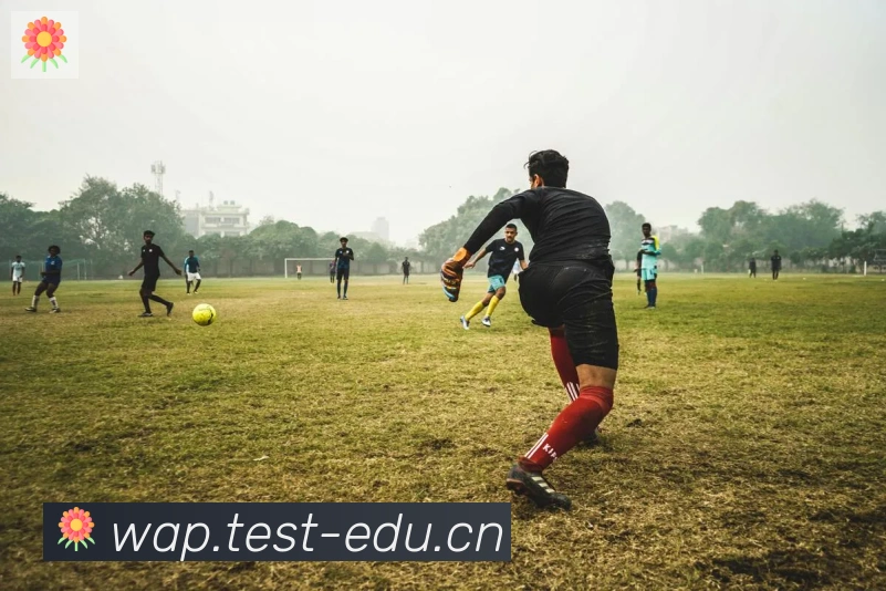 爱游戏体育官方网站荣誉