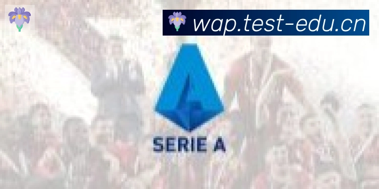 爱游戏体育官方网站合作伙伴