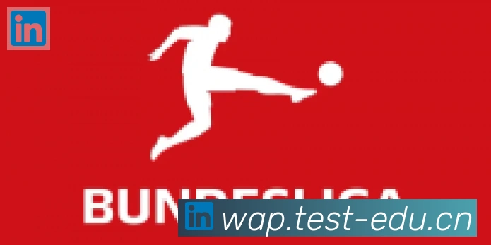 爱游戏体育官方网站合作伙伴